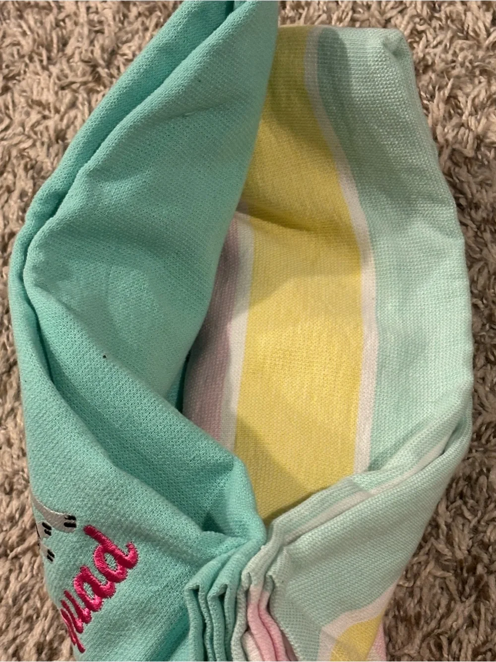 Set of 2 Embroidered Kitchen towels with 'Sun Squad' Aqua Dog